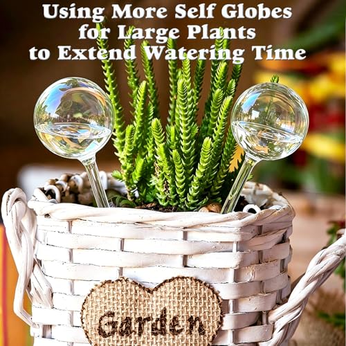 2pcs Glass Plant Watering Globes, Clear Rainbow Color Flower Self-Watering System Spikes, Automatic Plant Waterer Bulbs for Indoor & Outdoor Plants Everyday Use - view 4