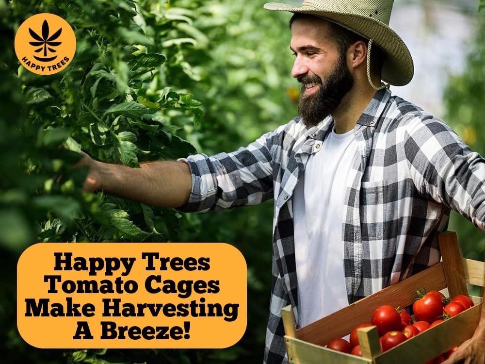 Happy Trees Large Heavy Duty Folding Tomato Cages, 3-Pack, Made in USA | Support Trellis for Climbing Vegetables and Plants, 18" x 18" x 58", Thick Gauge Galvanized Steel, Collapsible Easy Storage - view 3