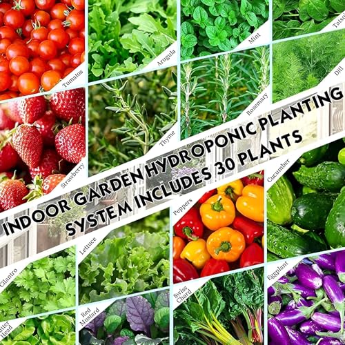 Hydroponic Tower Growing System - Soilless Garden Kit for Lettuce, Herbs, & Vegetables - Indoor/Outdoor Hydroponics Setup for Home Gardening & Urban Farming - view 6