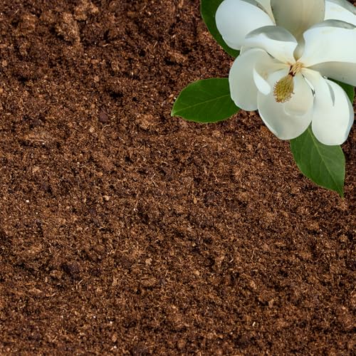 Peat Moss for Plants – Organic Sphagnum Peat Moss for Orchids, Terrariums, Seed Starting, Reptiles & Potting Soil Mix (15 quarts)