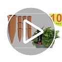 10pcs Terracotta Watering Spikes - view 7