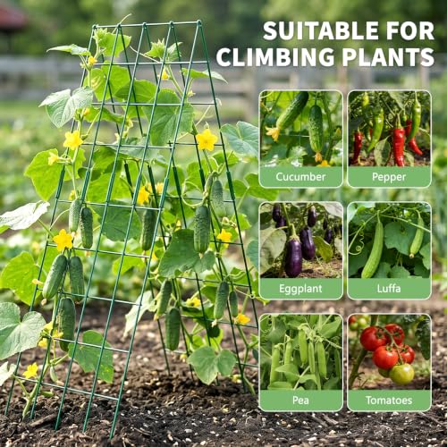 59" H Cucumber Trellis, 2 Pack Foldable A Frame Garden Trellis - view 3