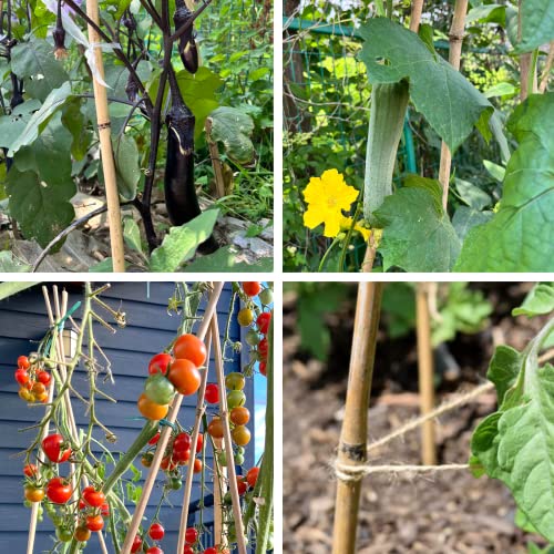 Bamboo Stakes for Plants, 20 Pack Plants Stakes 5 Feet(58in) - view 5