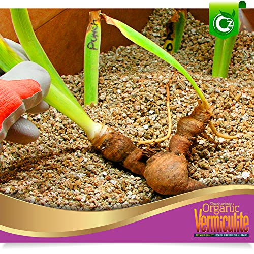 Coarse Vermiculite - Made in USA for All Indoor/Outdoor Plants & Flower Gardens - Horticultural Soil Amendment Additive Conditioner Grow Media for Hydroponics, Mushroom Cultivation and more! - view 4
