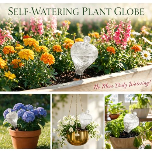 2 Pack 17 oz Large Plant Self Watering Globes to 2 Weeks Watering, Clear - view 5