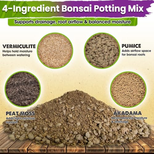 Pre-Mixed & Ready to Use 4-in-1 Bonsai Soil Mix, 2 Quarts - view 2