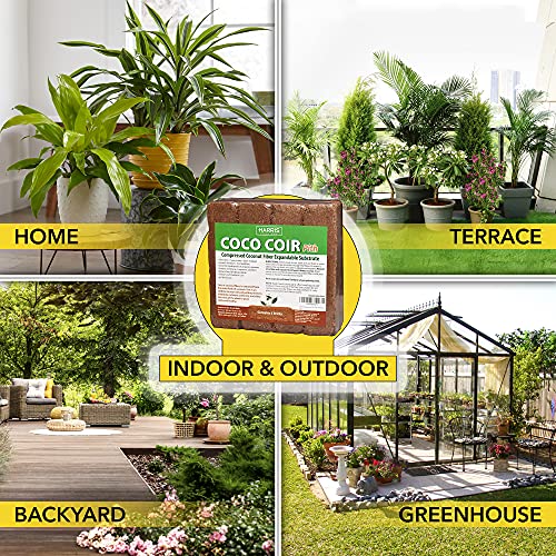 Coco Coir Pith, 4 Bricks Expand to 9 Gallons of Coconut Coir, Coconut Fiber - view 3
