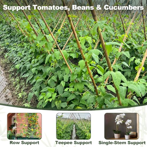 Natural Bamboo Poles, 4 Feet Bamboo Sticks for Plants, Wood Garden Stakes for Tomato, Bean, Flowers, Trees Potted and Climbing Plants, 25 Pack - view 2