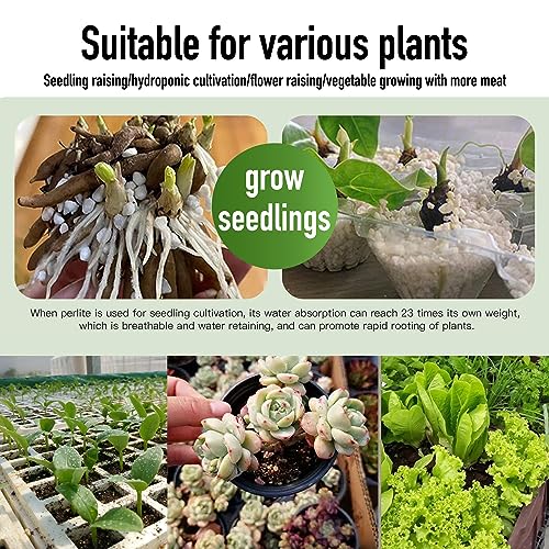 2QT Perlite for Plants Organic Perlite Horticultural Soil Amendment for Indoor & Outdoor Container Plants and Enhanced Drainage Enhanced Growth, Promote Root Growth and Soil Health - view 3