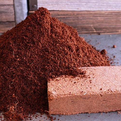 Minute Soil - Compressed Coco Coir Fiber Grow Medium - 3 Bricks = 4.5 Gallons of Potting Soil - Seed Starting, Gardening, House Plants, Flowers, Microgreens, Wheatgrass - Add Water - Peat Free - OMRI - view 3