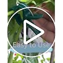 80PCS Garden Plant Supports Clips, 2 Sizes Adjusting Reusable Plant Clips for Supporting Stems of Flower Vine Vegetables Tomatoes Climbing - view 7