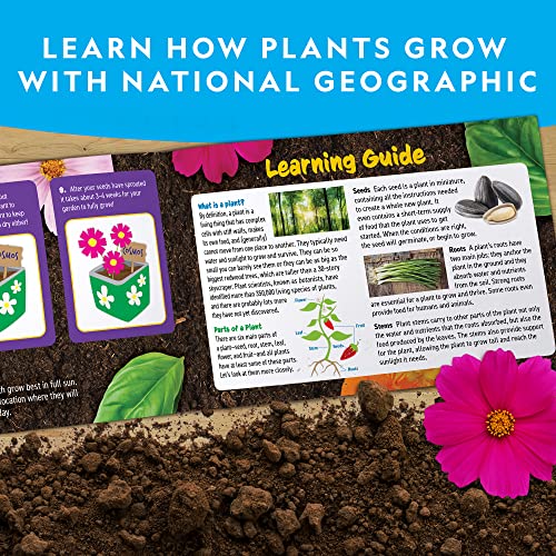 National Geographic Flower and Herb Gardening Activity Kit for Kids - view 6