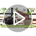 Plant Watering Devices 6 Pack Terracotta Vacation Plant Waterer Wine Bottle Watering Stakes Slow Release Plant Watering Spikes Self Watering Devices for Indoor Outdoor Plants - view 6