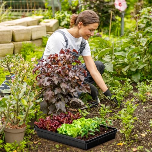 Seed Starter Tray, Gardening Plant Grow Trays Kit for Seedling, Germination Trays with 4.72 Inch High Humidity Domes，Large Growing Space & Better Air Flow for Seed Starting, Mini Greenhouse, 3PCS - view 6