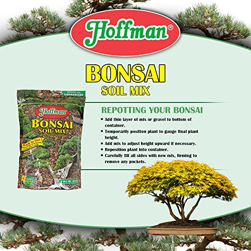 Ready to Use Bonsai Soil Potting Mix to Provide Proper Support, Moisture, and Drainage, 2qt Bag, 2 Pack - view 6