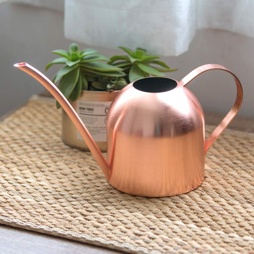 Watering can for indoor plants, 30oz long spout stainless steel | long spout design delivers precise watering directly to plant roots - view 7