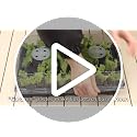 5 Pack Seed Starter Trays with Vented Domes 75 Cell Black - view 7