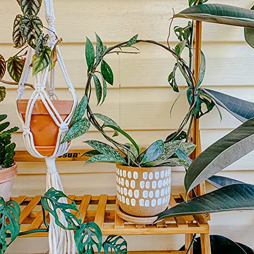 10 Pcs Circle Indoor Plant Trellis for Potted Plants - view 6