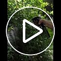 Mister Spray Bottle, Misting Bottle for Plants, Gardening Plant Sprayer - view 7