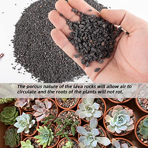 7lb Black Lava Rock for Plant, 1/8-1/4 inch Horticultural Volcanic Rock Soil for Decorative Landscaping Bonsai, Cacti, Succulents Plants Top Dressing for Release Excess Water - view 4