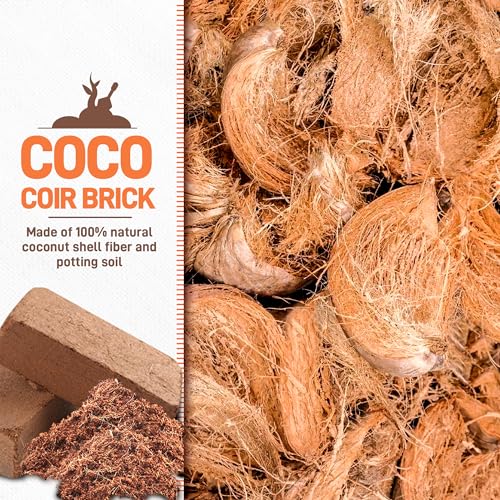 3-Pack Coco Coir Bricks, Premium Organic Peat Moss Mix for Plants, Low EC & pH Balance, Fiber Coconut Husk. Ideal for Gardening, Potting Soil & Substrate - view 2