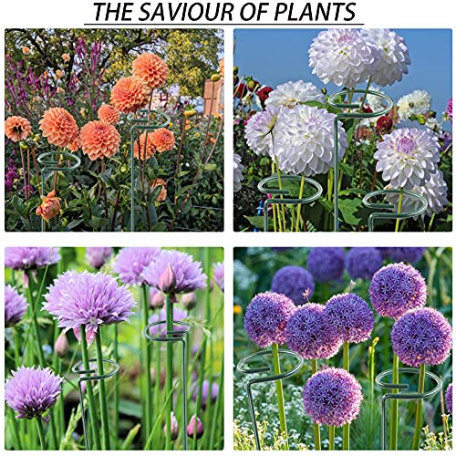12 Pack 36 inch Plant Support Stakes,Single Stem Plant Support Stake Single Plant Stem Garden Flower Support Stake Steel Plant Cage Support Ring for Orchid Gladiolus Iris Dahlia Amaryllis Rose Lily - view 4