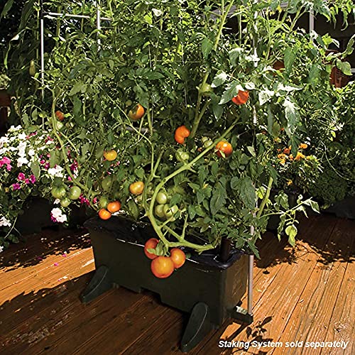 Novelty Garden Kit, Green (Pack of 2) - view 5