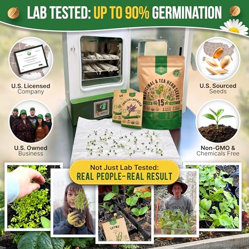 15 Medicinal & Tea Herb Seeds Variety Pack 6,420+ Non-GMO Heirloom Garden Seeds for Indoor & Outdoors, Including Anise, Borage, Cilantro, Chamomile, Dandelion, Rosemary Seeds - view 2