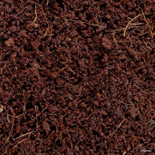 Plantation Soil, 8 Qt (8.8 L) - 100% Natural Terrarium Substrate | Increases Humidity, Stimulates Digging & Burrowing | Ideal for Natural Terrarium Setups & Live Plants (Pack of 4) - view 3