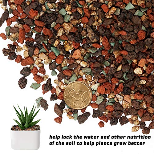 9.7lb Mix Horticultural Lava Rock Pebbles-Decorative Landscaping Gritty Rocks,Pumice Potting Soil Amendment,Additive for Succulent,Cactus Bonsai,Vase Fillers,Terrarium,Fairy Gardening,Top Dressing. - view 2