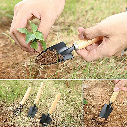 Gardening Tool Set (6 Pcs) Spade Shovel Rake for Garden Plants Care House Plants Flower Pot Cactus Vegetables Kids Indoor Small Plants Mini Medium Plant Tool Succulent Kit - view 6