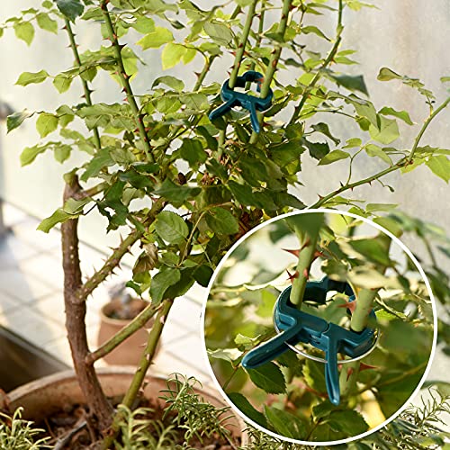 Plant Support Clips, 80 PCS Gentle Flower Plant Clamps for Supporting Vine Climbing Plants, Gardening Lever Loop Gripper Clips Help Stems Vines Grow Straight Upright, 2 Sizes in one Pack - view 5