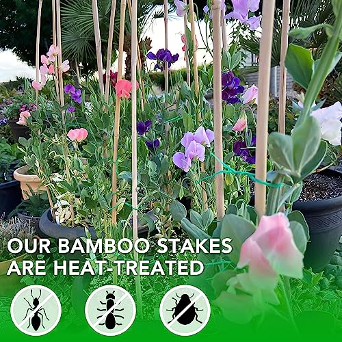 40 Pack Bamboo Stakes for Plant 6 Feet,Bamboo Sticks Garden Plant Support Stakes Poles with 200pcs Twist Ties for Tomatoes, Beans, Flowers, Trees, Indoor and Outdoor Climbing Plants - view 5