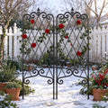 Amagabeli 2 Pack Garden Trellis for Climbing Plants 60" x 18" Rustproof Black Iron Potted Vines Vegetables Vining Flowers Patio Metal Wire