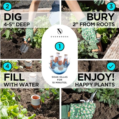 Plant Self Watering Globes - Terracotta Watering Spikes - Slow Release Olla Pots - Holds 14 oz - Drip Irrigiation Olla System - view 4