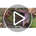 12-Piece Gardening Tool Set, Heavy-Duty Garden Tools for Women - view 7