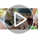 Mini Garden Tool kit, Desk Indoor Plant Tool Set, Portable Garden Tool Set, Succulent Tools Kit, Office Planting - view 7