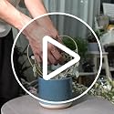 Indoor Plant Trellis Set of 3 - Mini Gold Heart-Shaped Frames for Climbing Houseplants, Hoya, Ivy, and Pothos - Small Potted Plant Support for Indoor and Outdoor Use - view 7