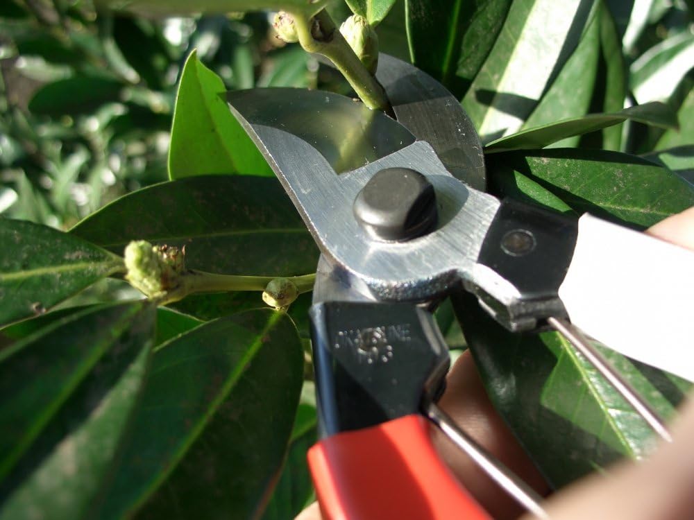 Pruning Shears Unique 8.3 inches (210 mm) (Blister) No. 104 - view 2