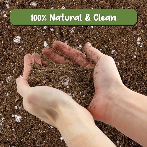 Avocado Tree Potting Soil Mix (12 Quarts) for Germinating, Growing and Repotting Avocado Plants - view 3