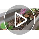 5PCS Gardening Tools, Aluminum Heavy Duty Garden Tool Set with Bag - view 7