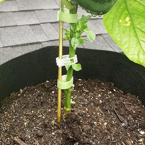 20 Pcs 18 Inch Natural Bamboo Plant Support Stakes for Indoor Plants, Bamboo Sticks Poles Garden Bamboo Stakes for Potted Plants, Tomato, Beans - view 6