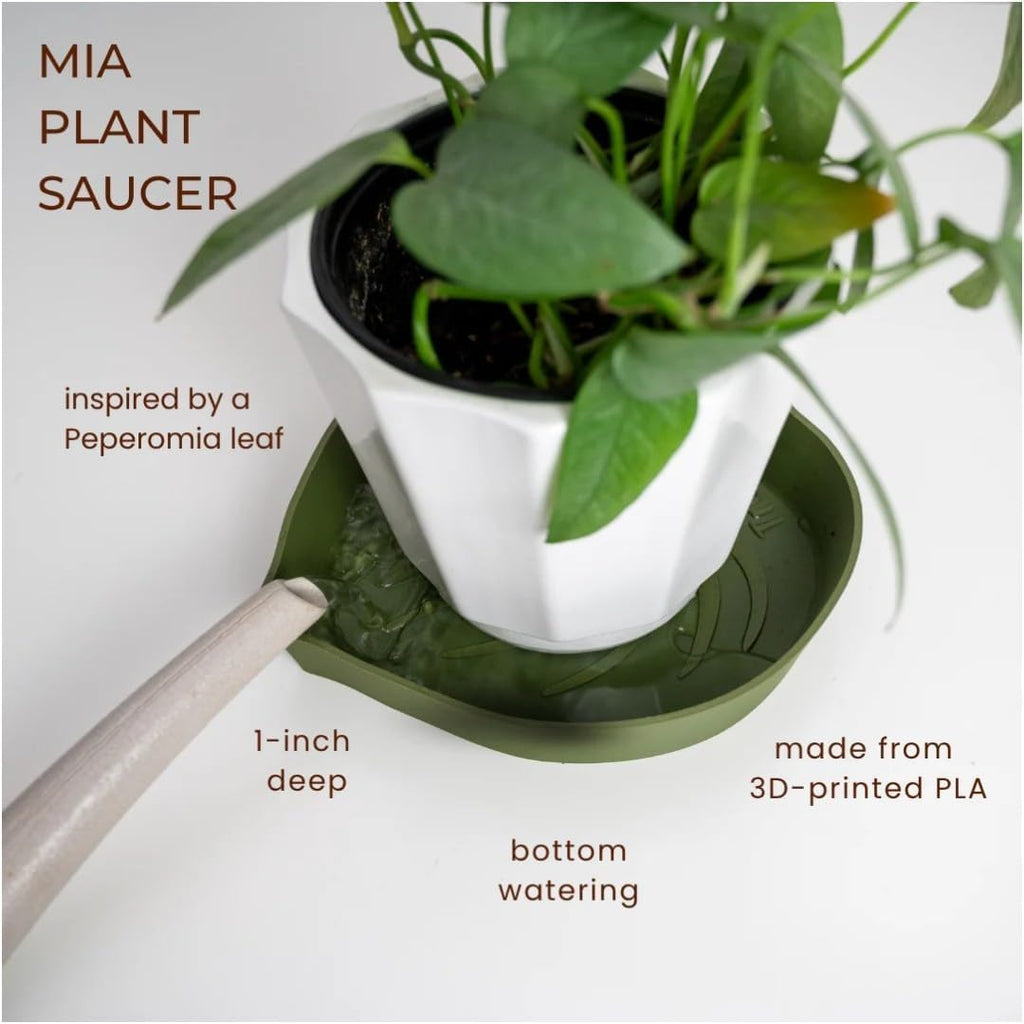 Mia Bottom Watering Plant Saucer – 6 inches Self-Watering Plant Tray for Indoor Plants, Leaf-Shaped Pot Saucer with Water Reservoir for Healthy Root Growth - Green (2 Pack) - view 2