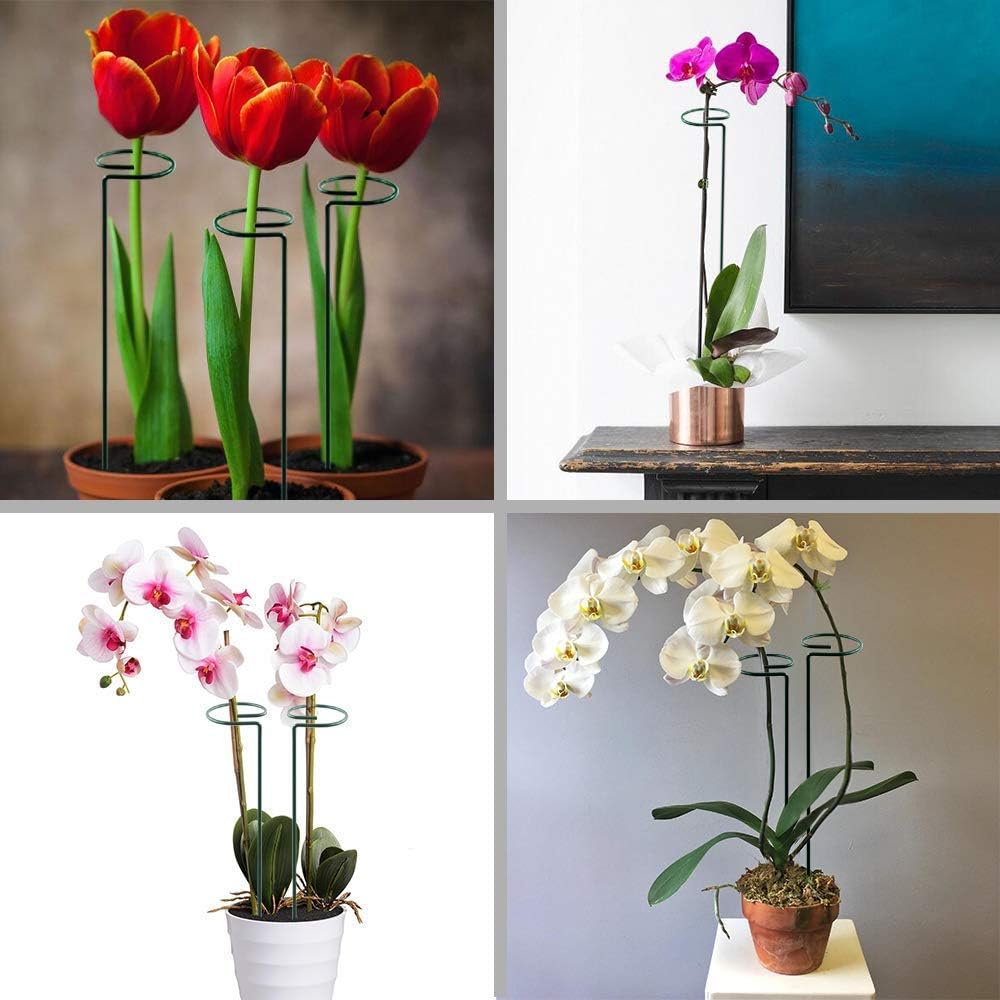 17 inch Plant Support Stakes, 4mm Thick Garden Single Stem Flower Support Stake Amaryllis Plant Cage Support Rings with 10 pcs Plant Clips for Tomato Orchid Lily Peony Rose Flower Stem-5 Pack - view 8