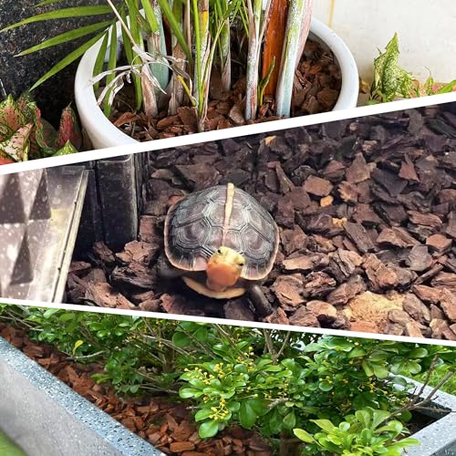 3 Quart Organic Orchid Bark for Potting-Natural Orchid Mulch for Potted Plants, Root Development of Orchid Plants and Garden Soil Amendment Mix - view 5