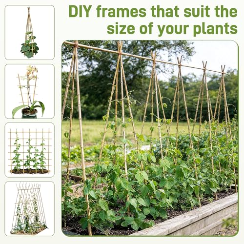 50Pcs Garden Stakes, 0.32”/16 Inch Bamboo Sticks，Natural Plant Stakes for Indoor and Outdoor Plants，Poles for Tomatoes, Beans, Potted Plants - view 4
