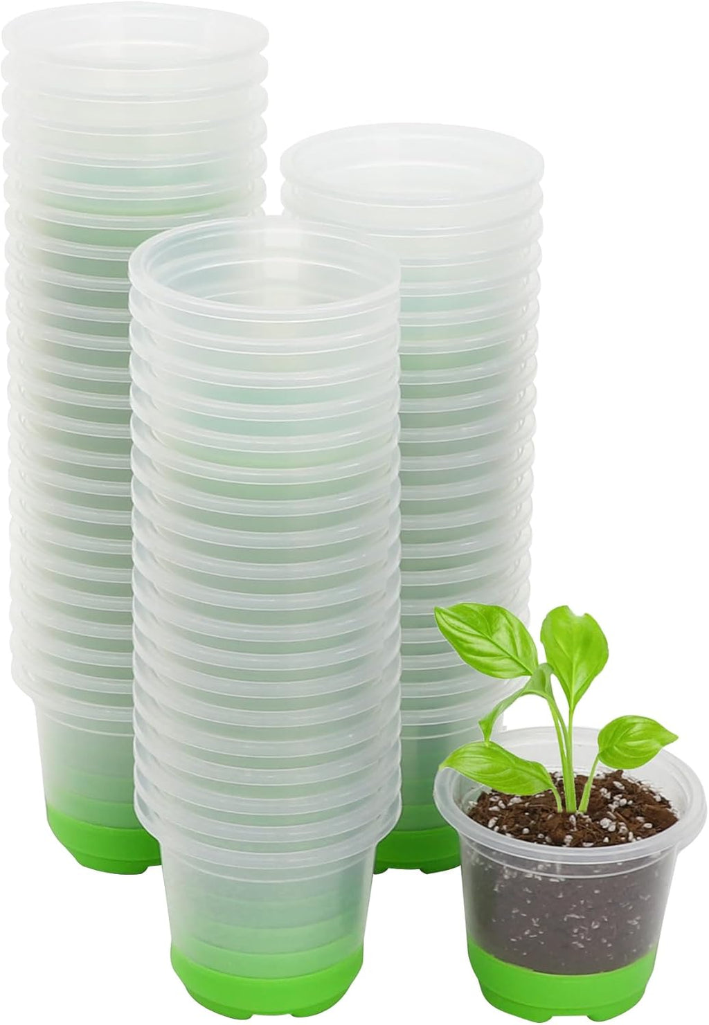 Clear Nursery Pots with Silicone Base, 4-Inch, 30-Pack | Sturdy Construction, Flexible Base, Drainage Holes, Root and Soil Visibility, Reusable, Seed Starting, Propagation, Green - view 8