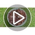 3 Quart Organic Orchid Bark for Potting-Natural Orchid Mulch for Potted Plants, Root Development of Orchid Plants and Garden Soil Amendment Mix - view 7