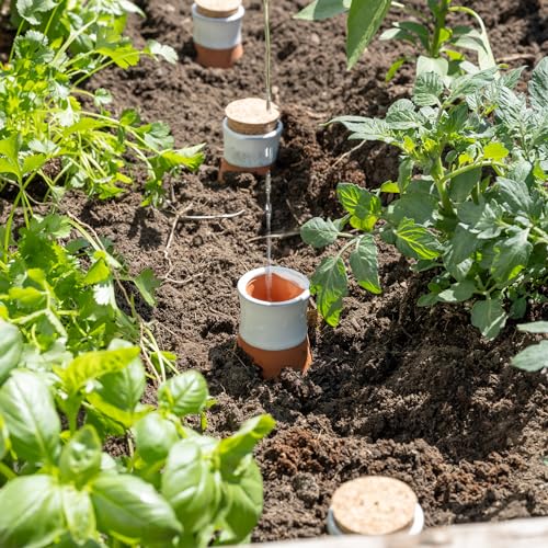 Plant Self Watering Globes - Terracotta Watering Spikes - Slow Release Olla Watering Pots - Drip Irrigiation Olla System - view 6
