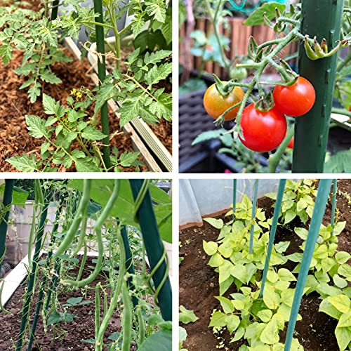 Garden Stakes 4FT Tomato Stakes for Outdoor Plant Support, 0.43 inch Diameter Plant Stake Sticks for Beans Potted Climbing Plants Gardening Supplies 20 Pack - view 6